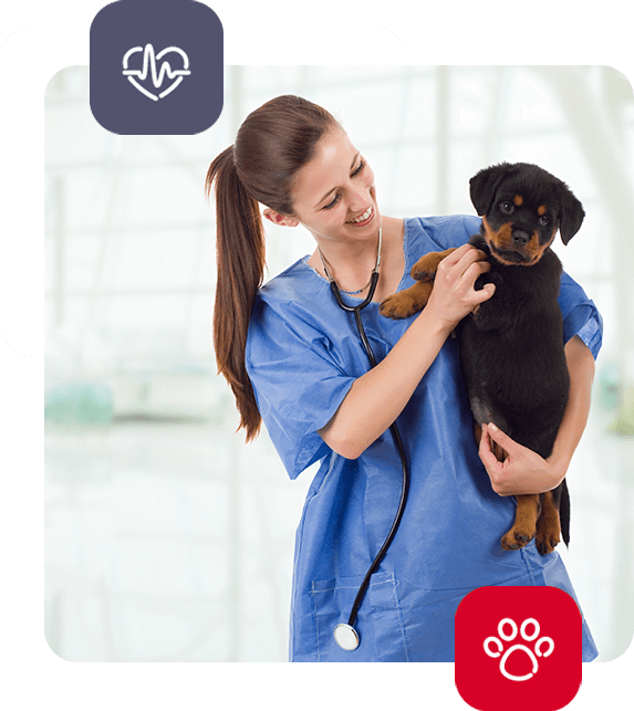 Lux-Vet - przychodnia weterynaryjna